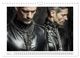 Thumbnail-8