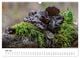 Thumbnail-12