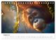 Thumbnail-13