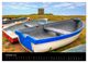 Thumbnail-11