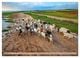 Thumbnail-4