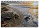 Thumbnail-12