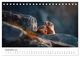 Thumbnail-14