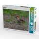 Thumbnail-0