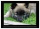 Thumbnail-11
