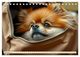 Thumbnail-11