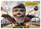 Thumbnail-8