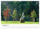 Thumbnail-14