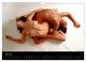 Thumbnail-8
