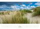 Thumbnail-8