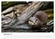 Thumbnail-11