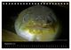 Thumbnail-14