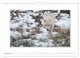 Thumbnail-11