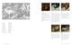 Thumbnail-19