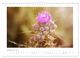 Thumbnail-11