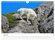 Thumbnail-12