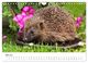 Thumbnail-10