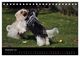 Thumbnail-14