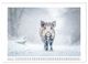 Thumbnail-7