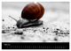 Thumbnail-10