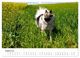 Thumbnail-10