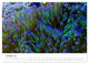 Thumbnail-11