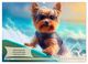 Thumbnail-10