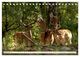 Thumbnail-14