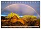 Thumbnail-8