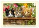 Thumbnail-12