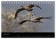 Thumbnail-9