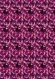 Thumbnail-14