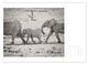 Thumbnail-13