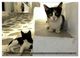 Thumbnail-8