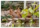 Thumbnail-10