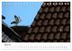 Thumbnail-9