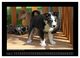 Thumbnail-10