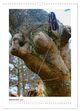 Thumbnail-14