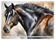Thumbnail-11