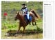 Thumbnail-12