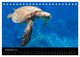 Thumbnail-14