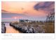 Thumbnail-14