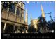 Thumbnail-13