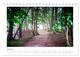 Thumbnail-9