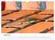 Thumbnail-12