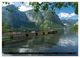 Thumbnail-11
