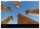Thumbnail-8