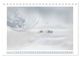 Thumbnail-14