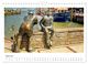 Thumbnail-9