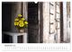 Thumbnail-14